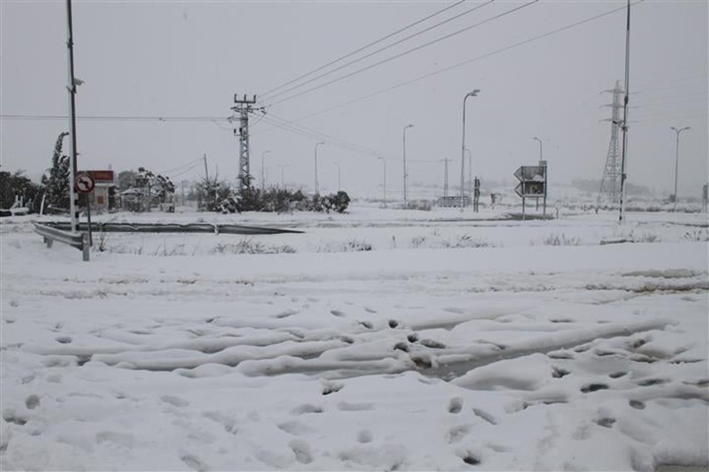 IMG_8787 (Small)