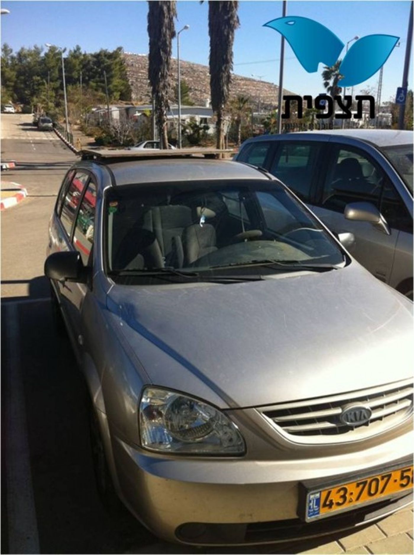 תמונה2