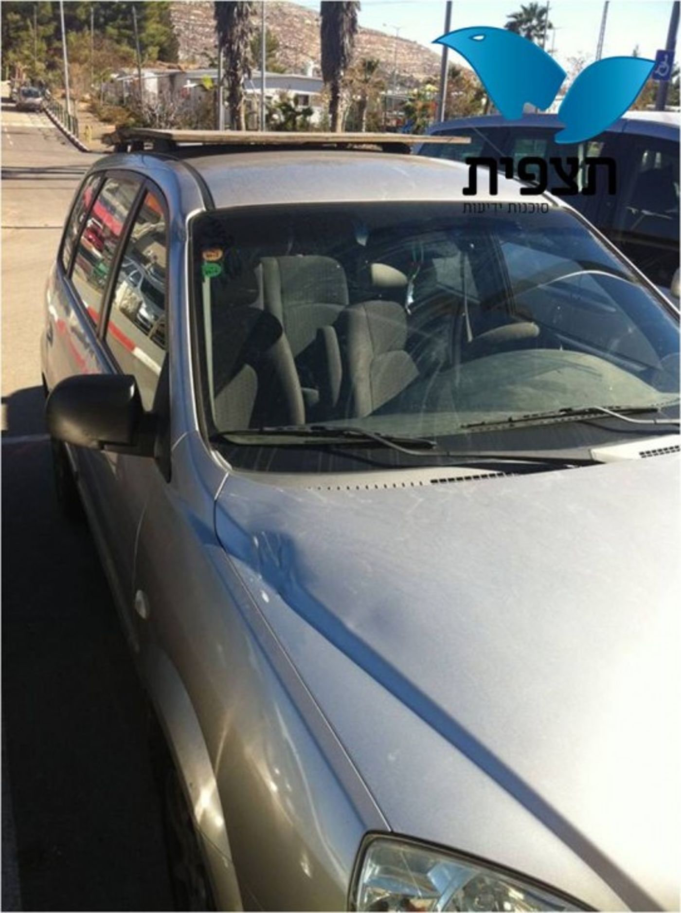 תמונה3