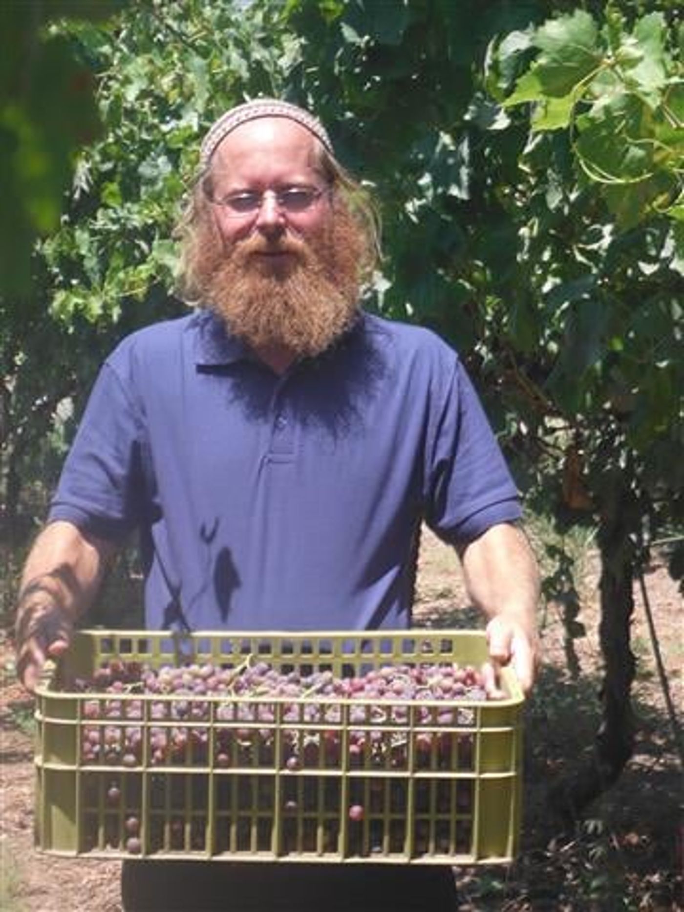 יאללה הביתה: בית המשפט הורה לשחרר את בעז אלברט