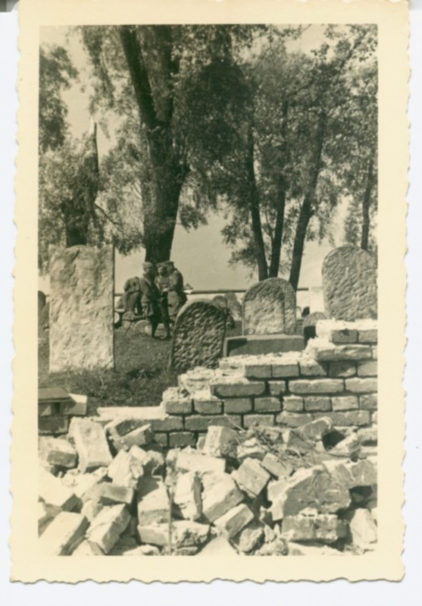 תמונה 15