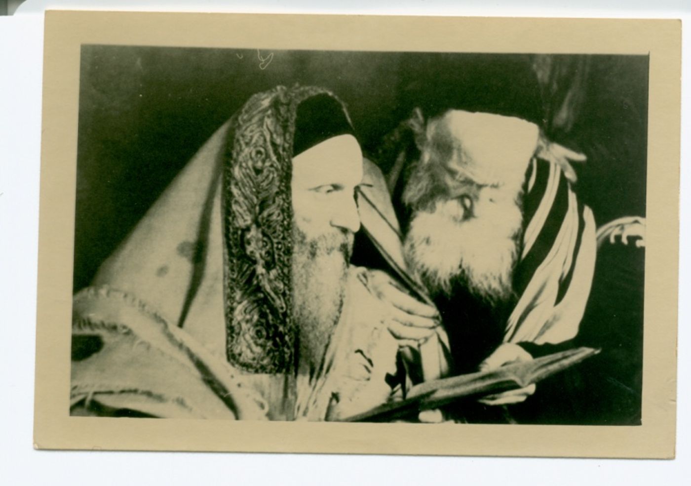 תמונה 17