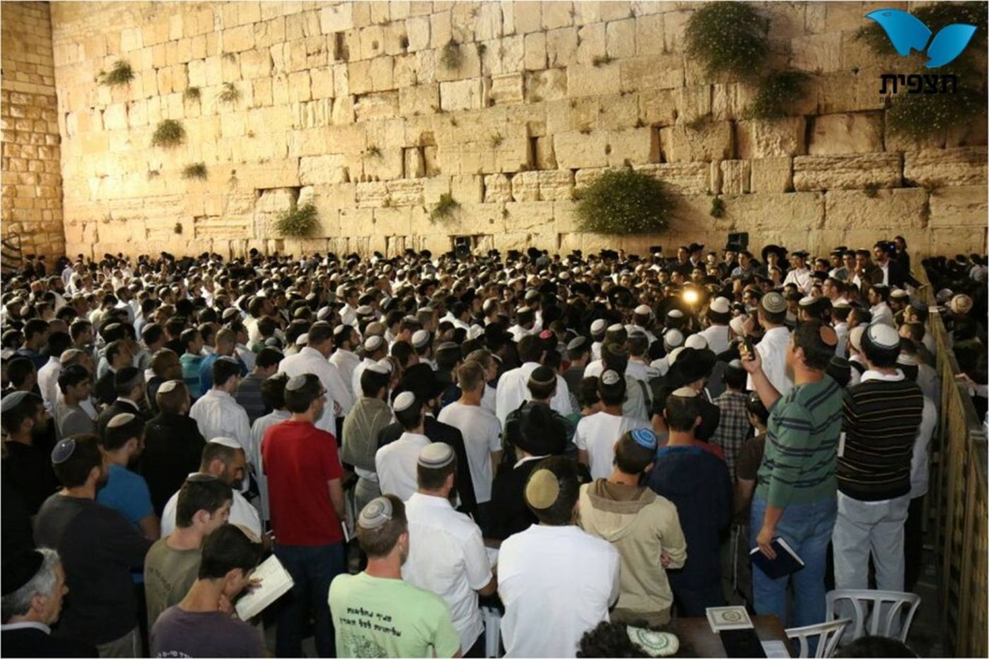תמונה2