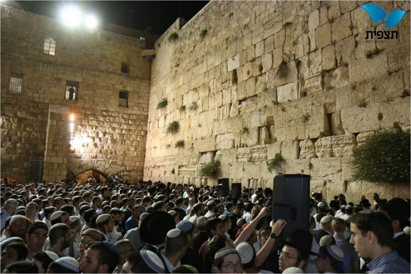 תמונה4