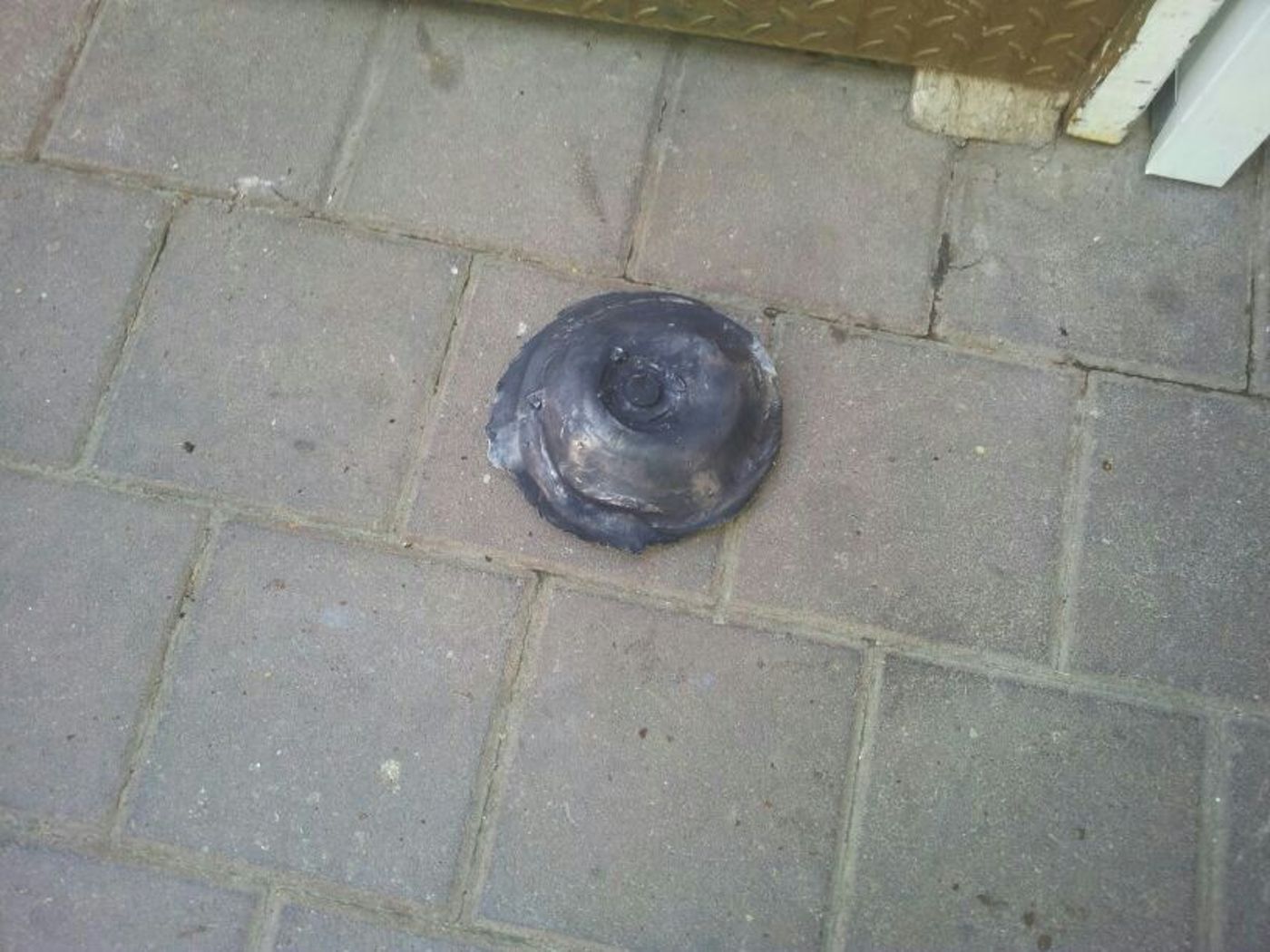unnamed (10)