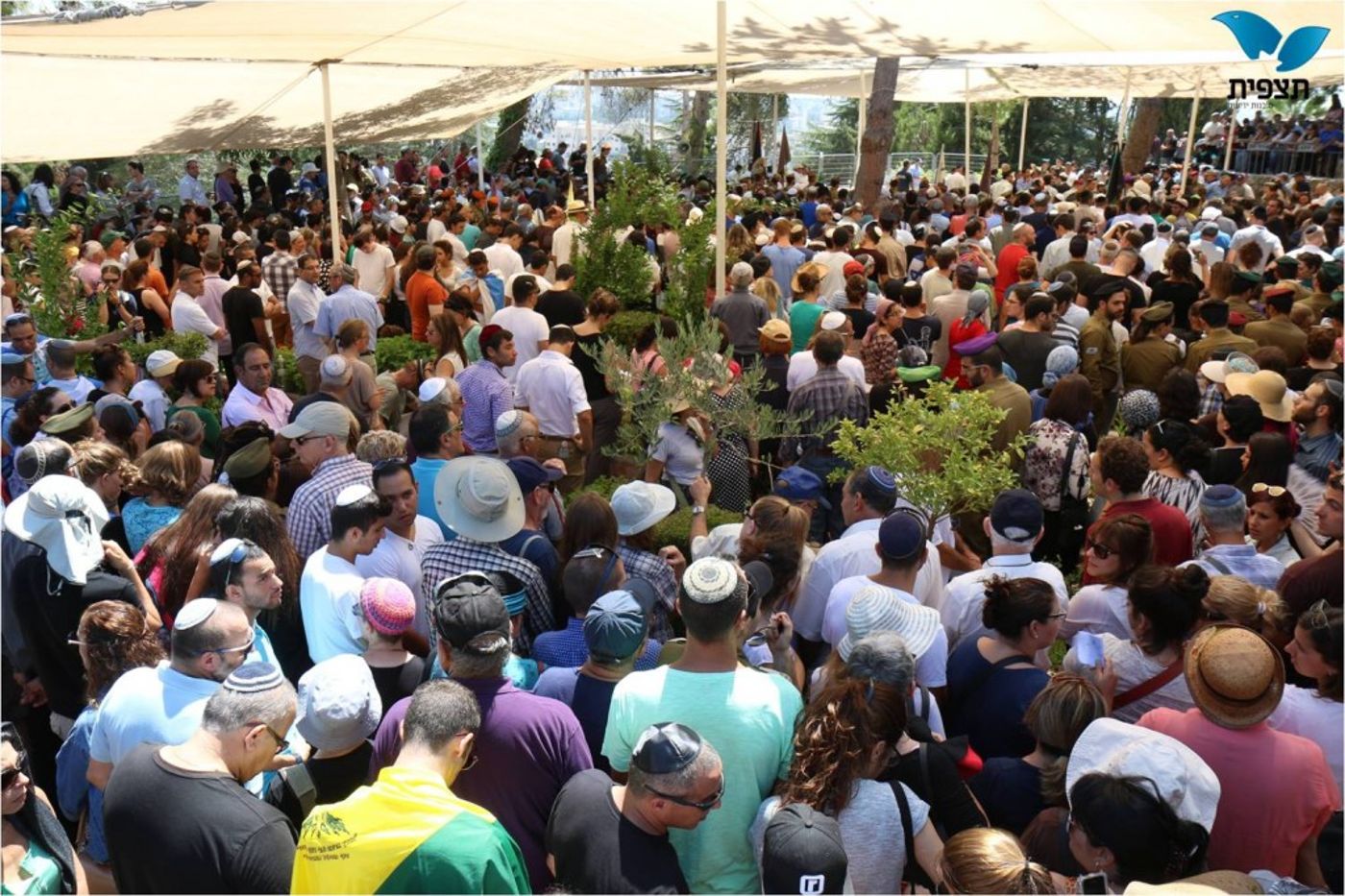 תמונה2