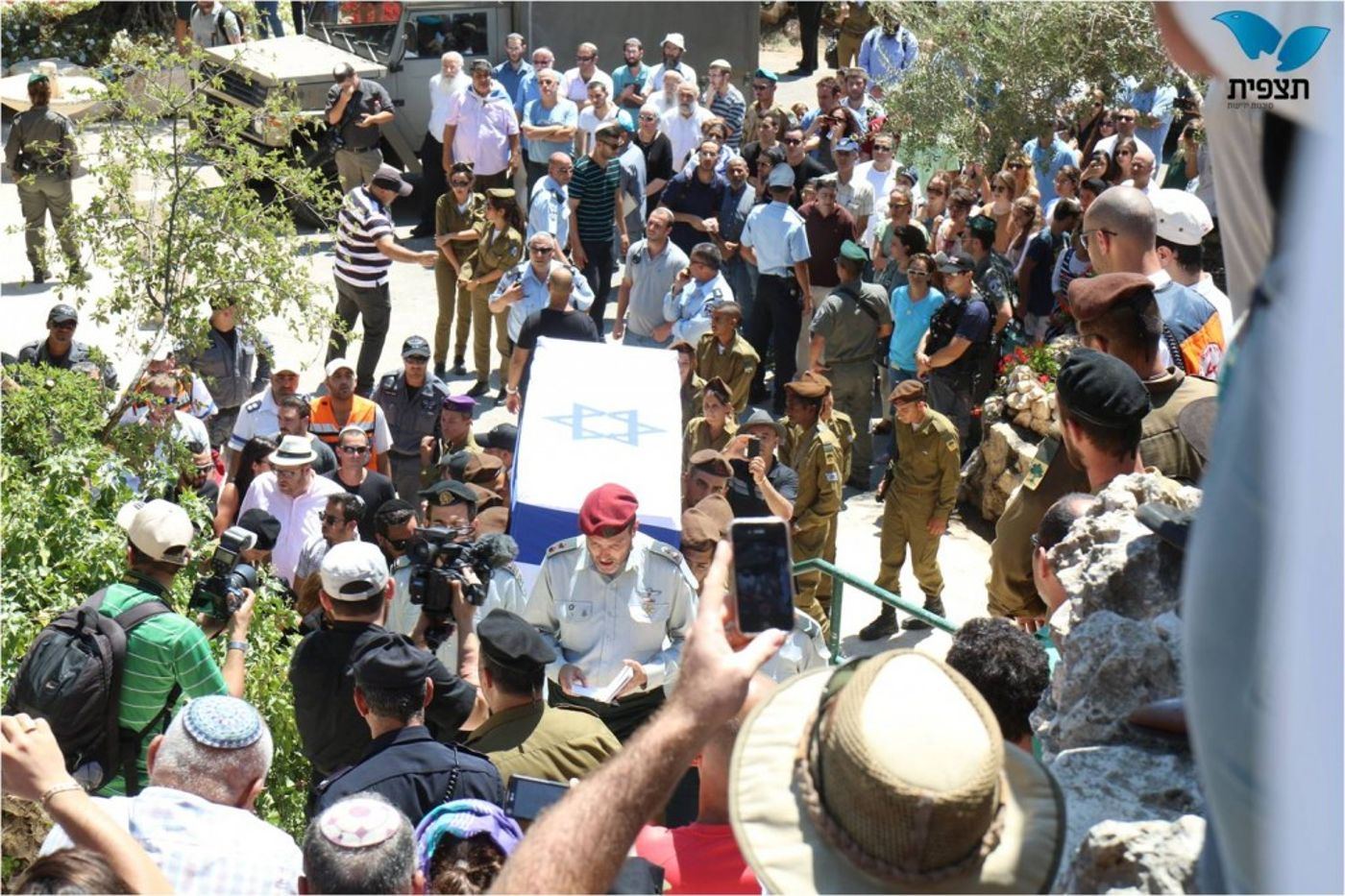 תמונה3
