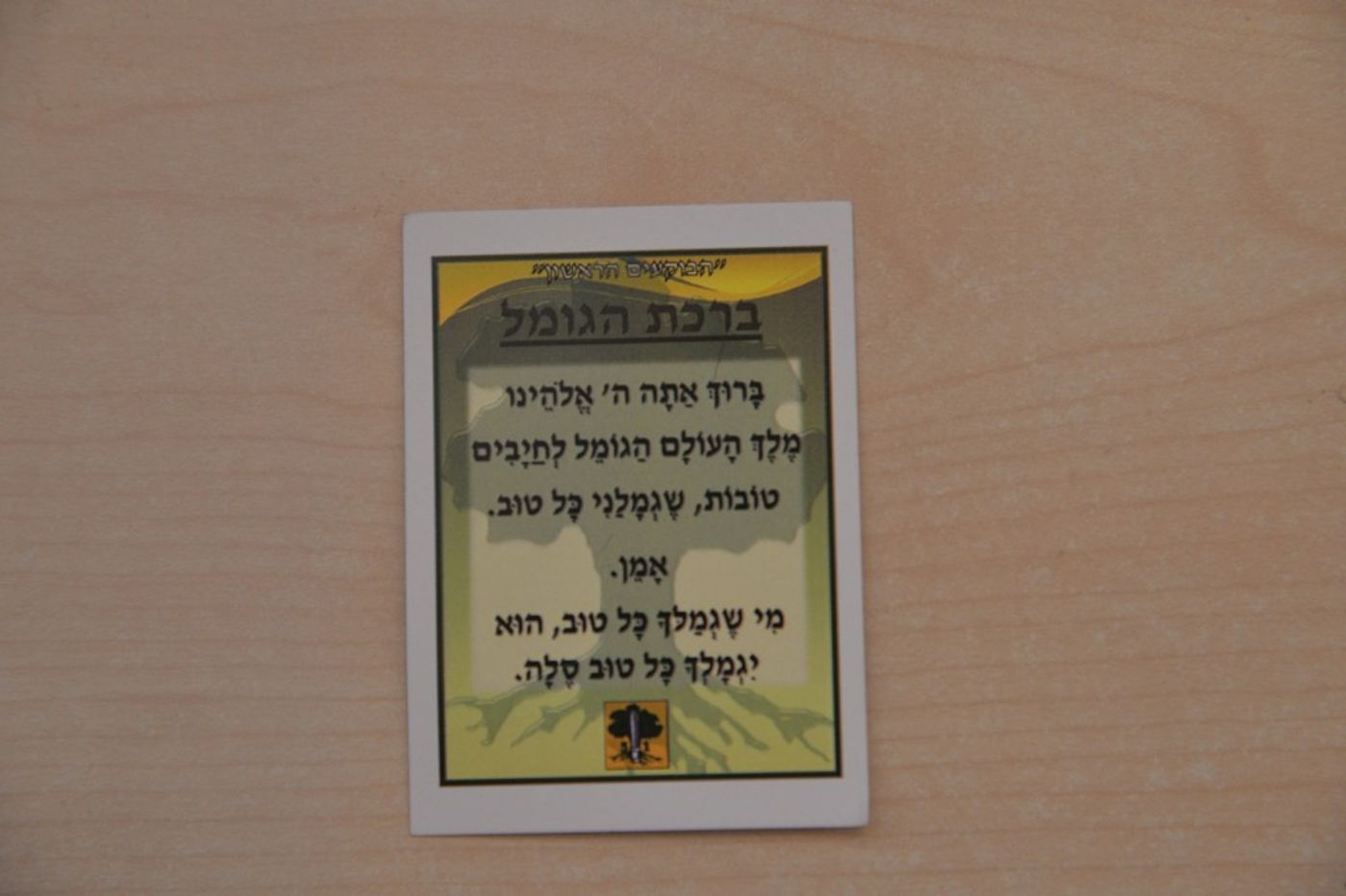 HAC_2539