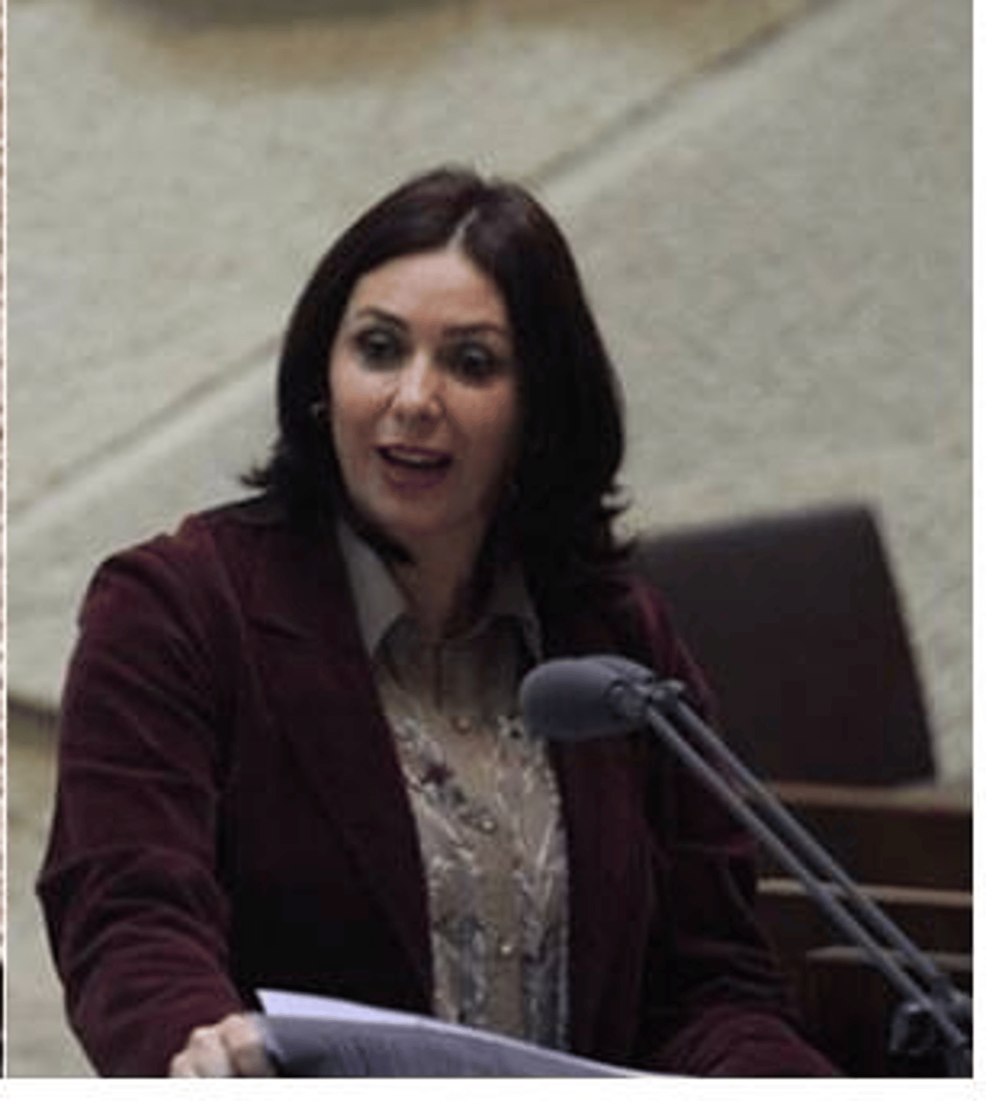 רגב: "המשנה ליועמ"ש הדליפה לנחום ברנע"