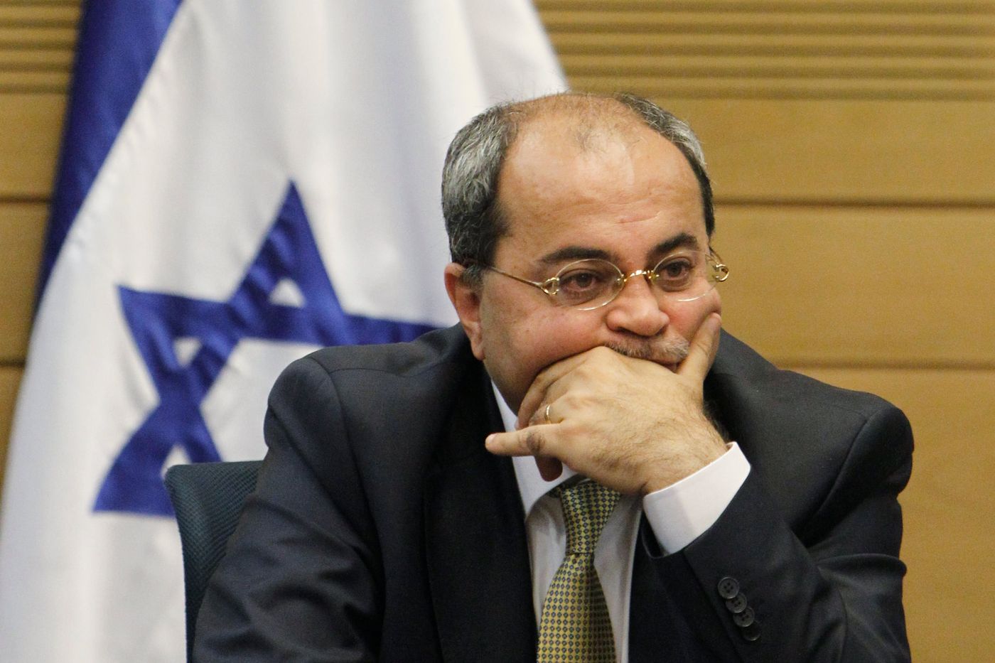 טיבי: הסיכויים לאחדות ערבית "פיפטי פיפטי"