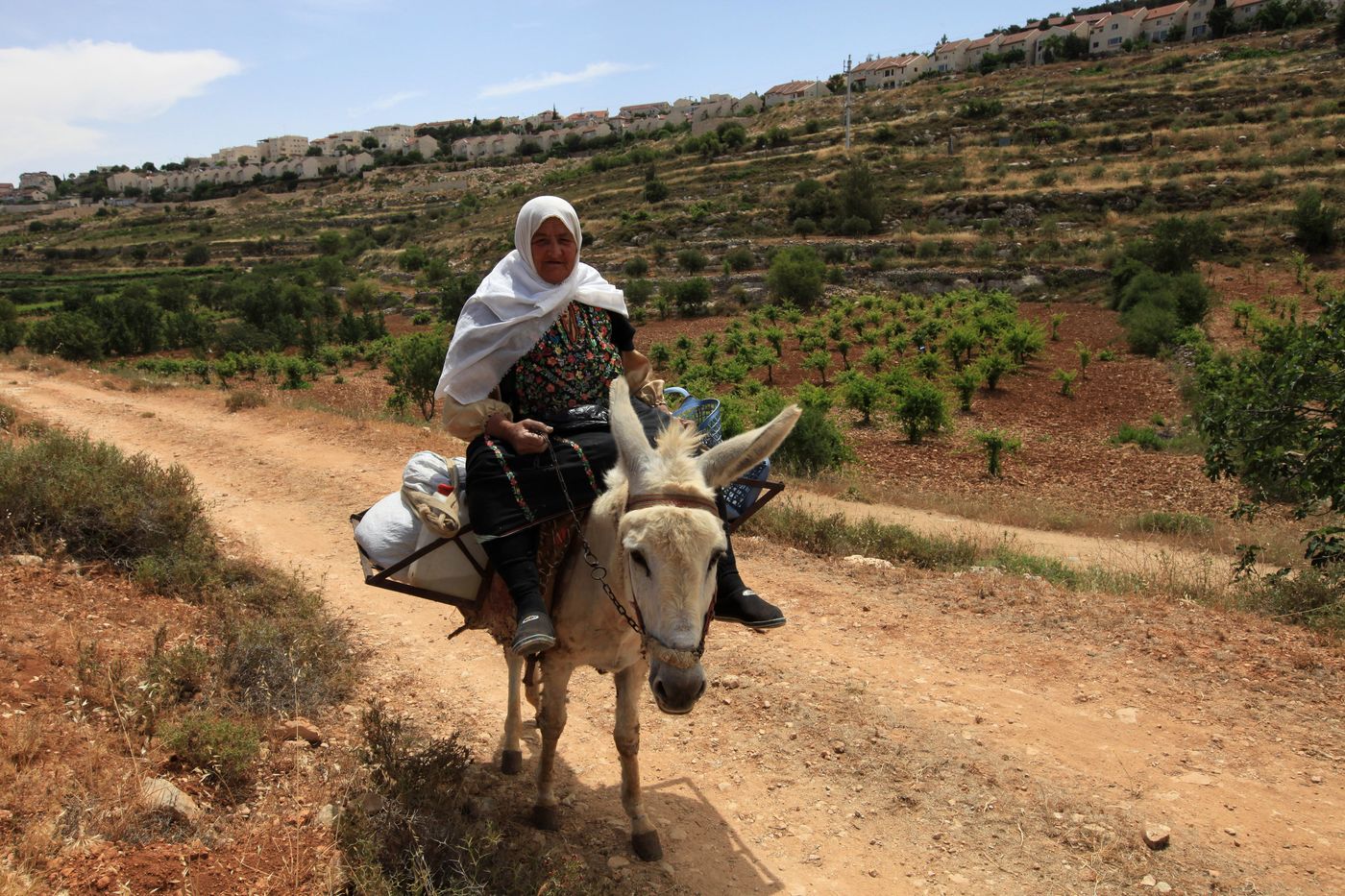 חשד: קניית הקרקעות מהערבים נעשתה במרמה