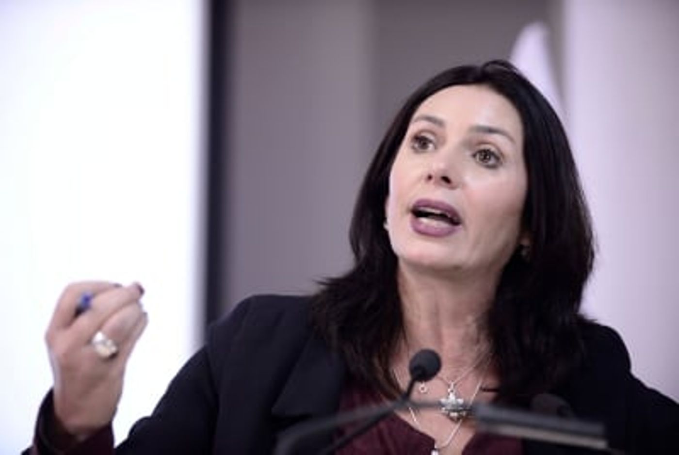 רגב: "המפלגות הקטנות יורקות לציבור בפנים"