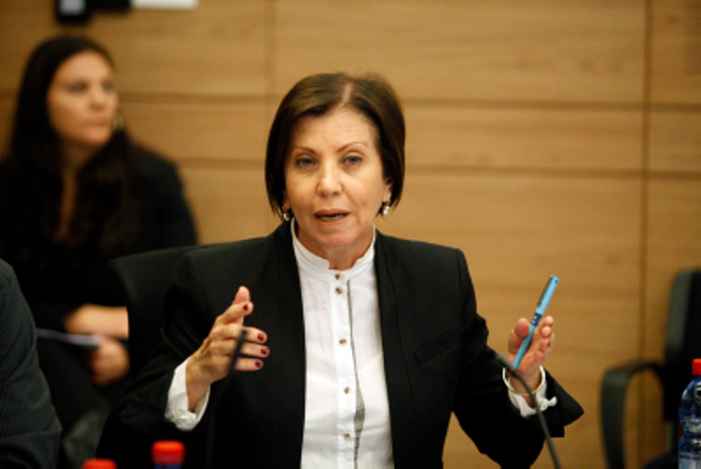 גלאון: "חודש מהבחירות והשמאל עדיין מתבכיין"