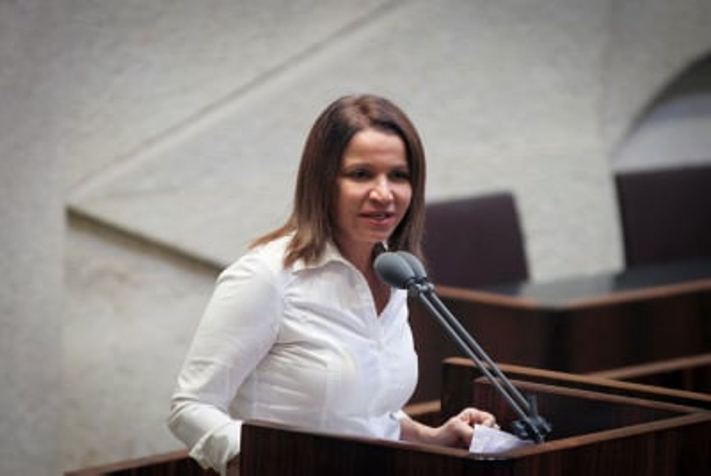 "יש סיכוי שלא אתמודד; אתמוך בהרצוג"