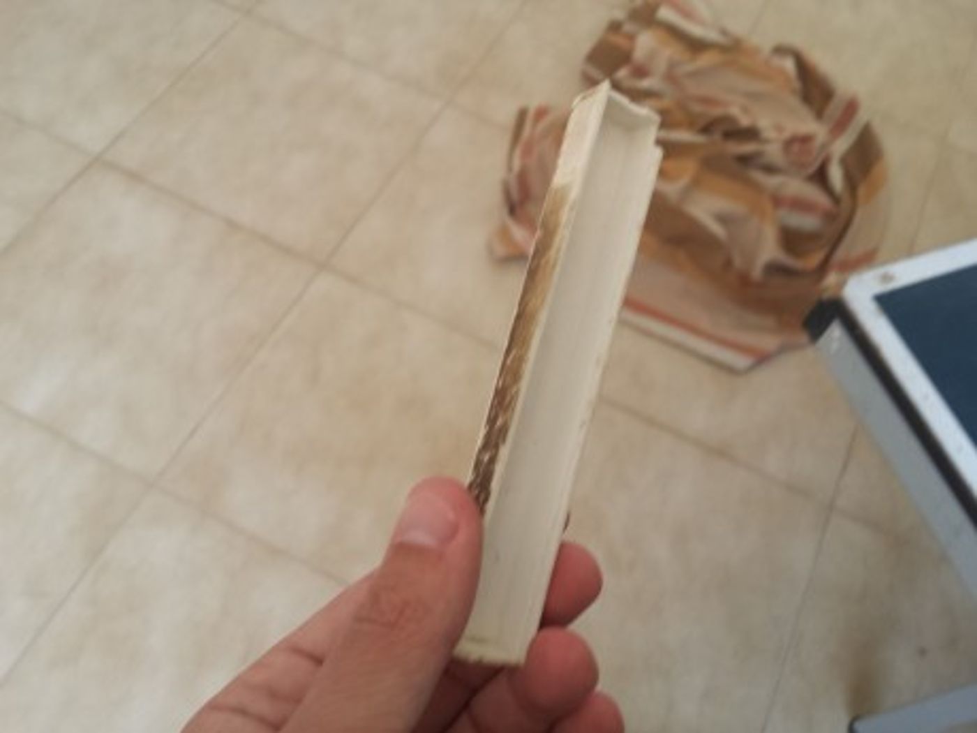 תיעוד; ההרס שהותיר הצבא בישיבת 'עוד יוסף חי'