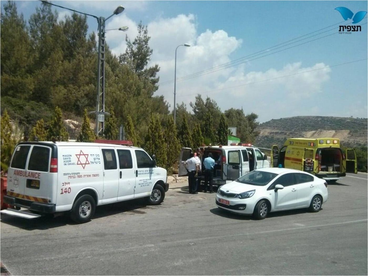 תמונה1