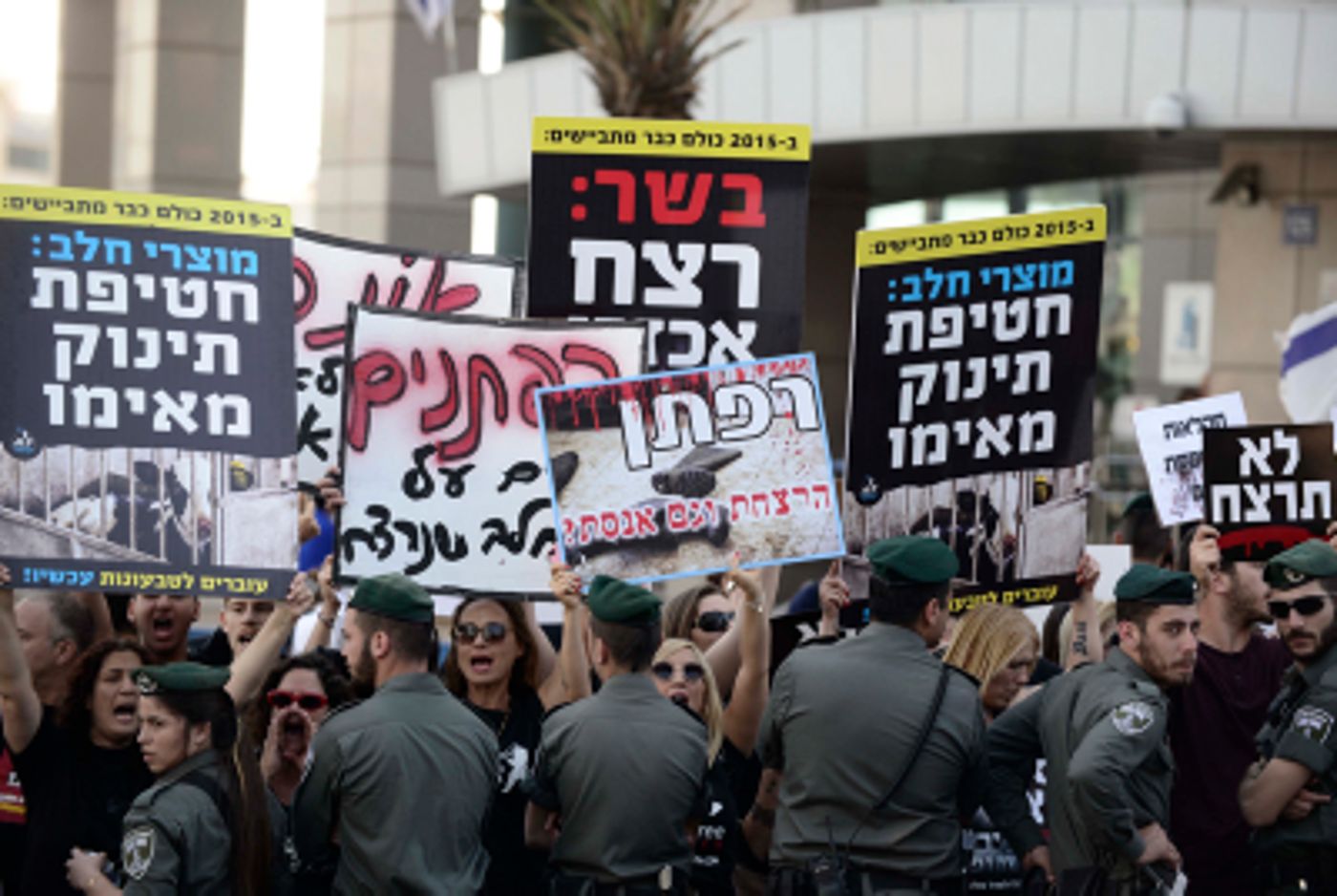 חוק יסוד צער בעלי חיים- השוואה בין האדם לבהמה