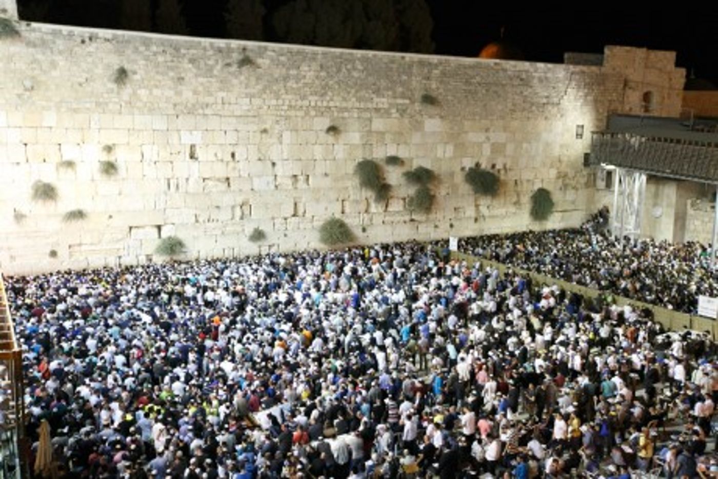 שיא של מתפללים בכותל המערבי; גלריה
