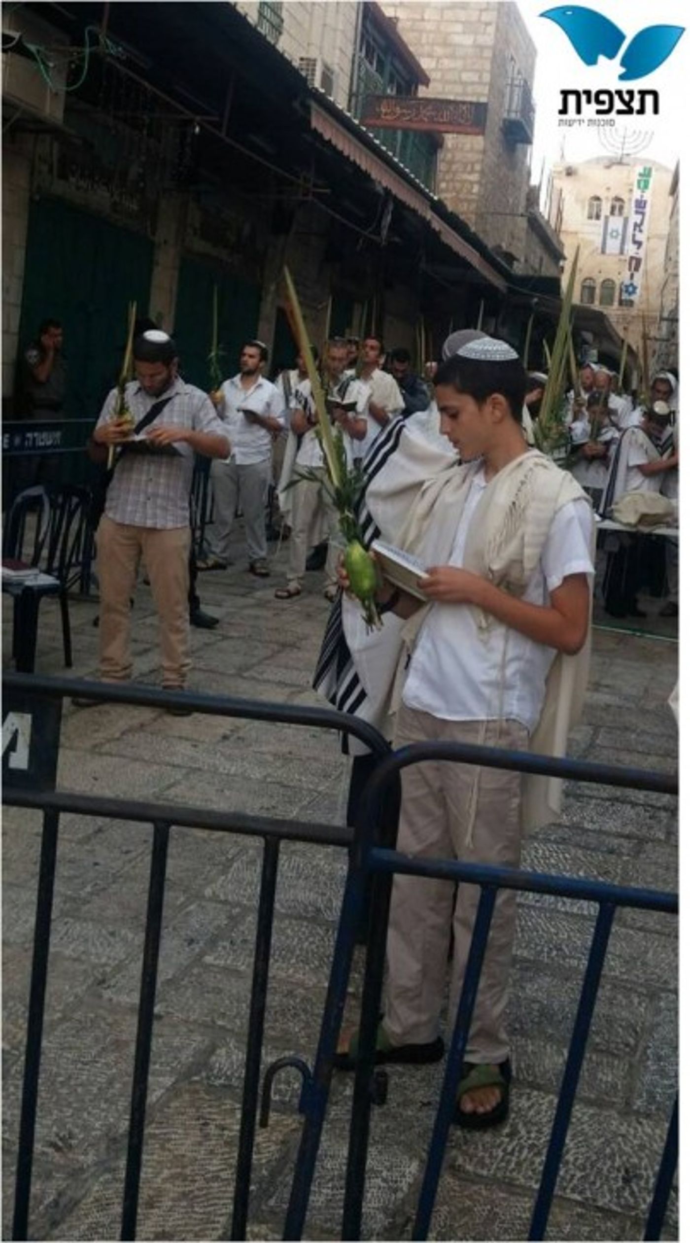 תמונה2