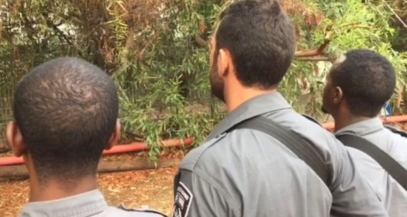 הלוחמים משחזרים: "ביצעתי ירי מדוייק"; צפו