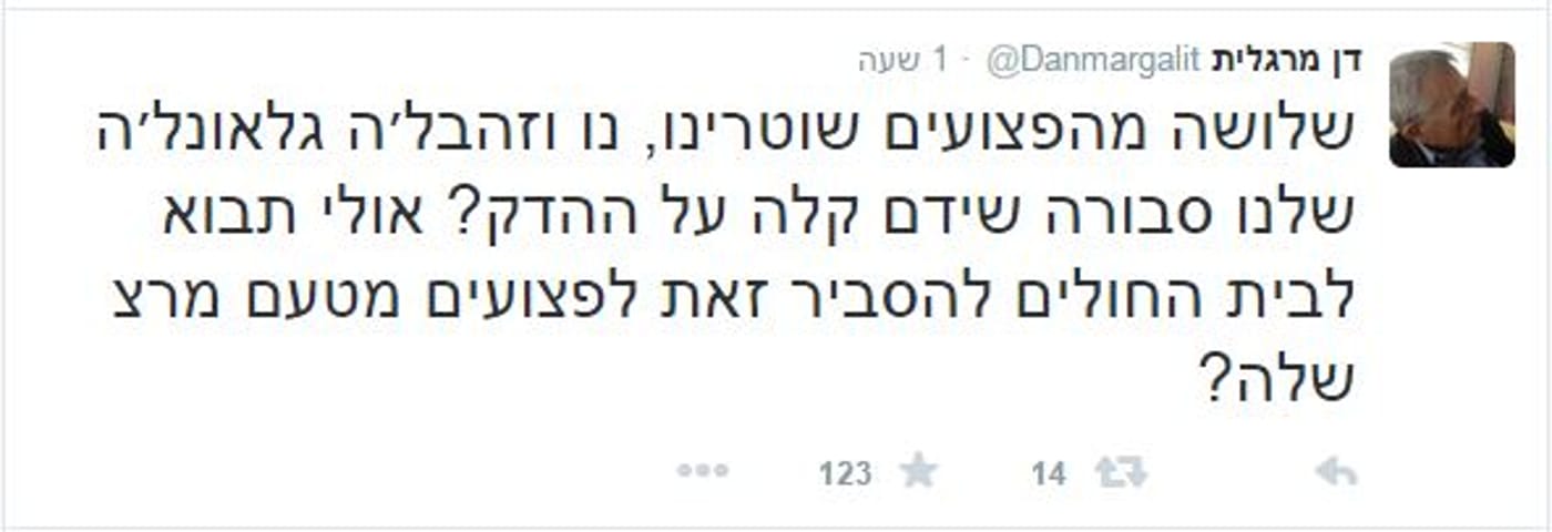 דן מרגלית