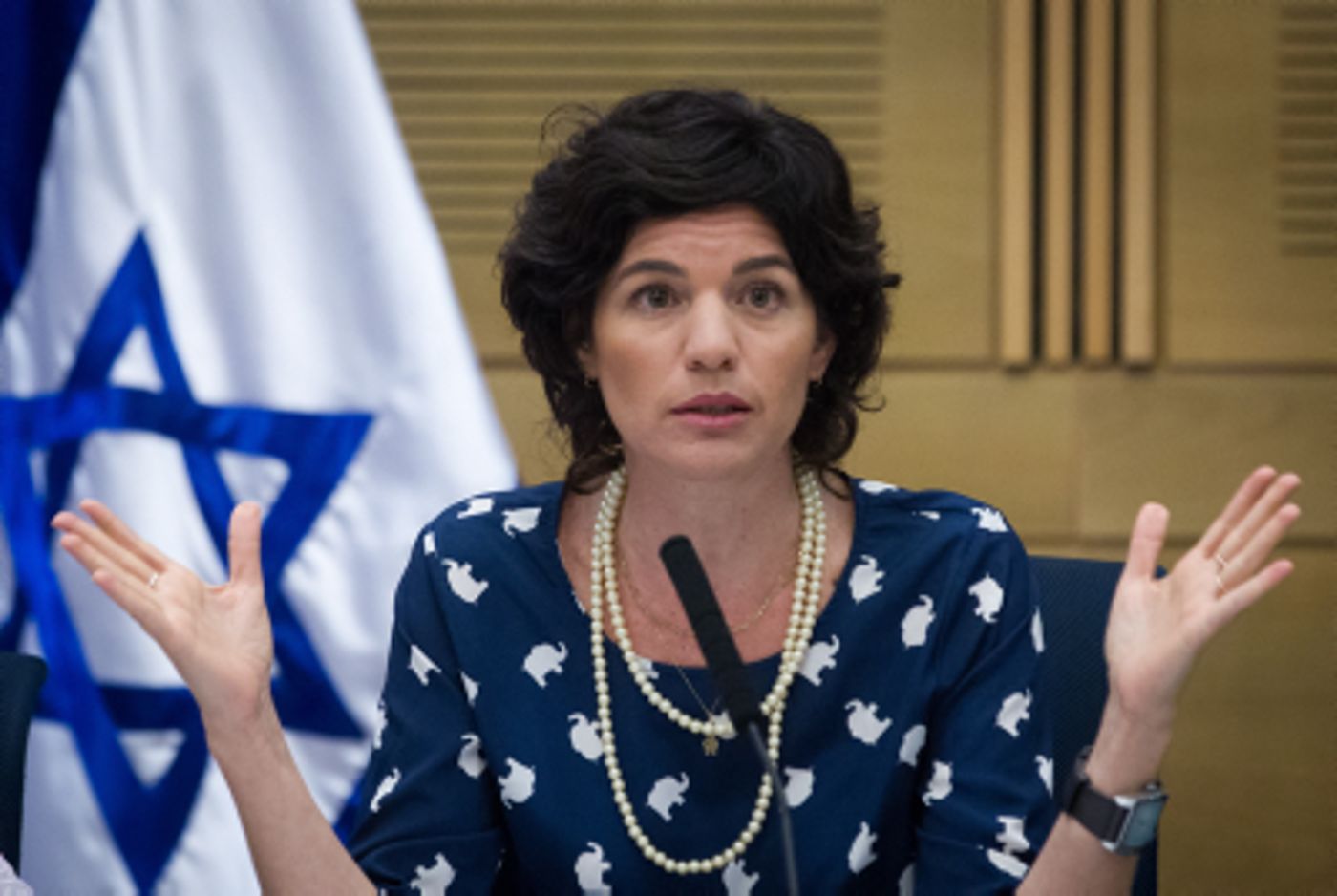 זנדברג הביכה את עצמה: "לבני ולפיד-מרכז קיצוני"