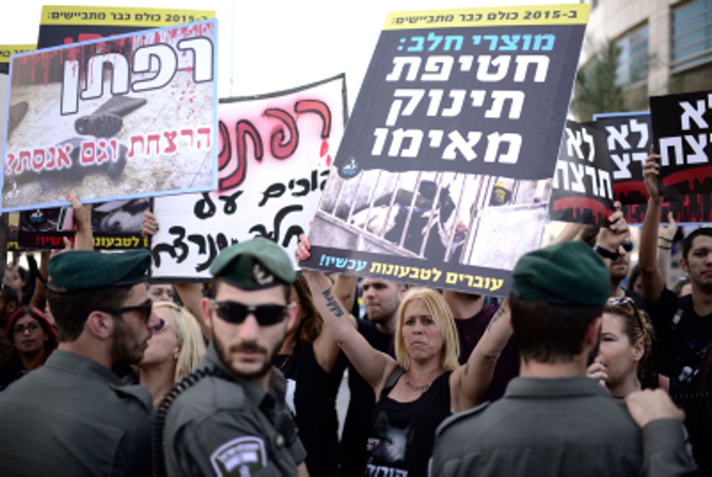 שו"ת: צער בעלי חיים מונע מתן תעודת כשרות?