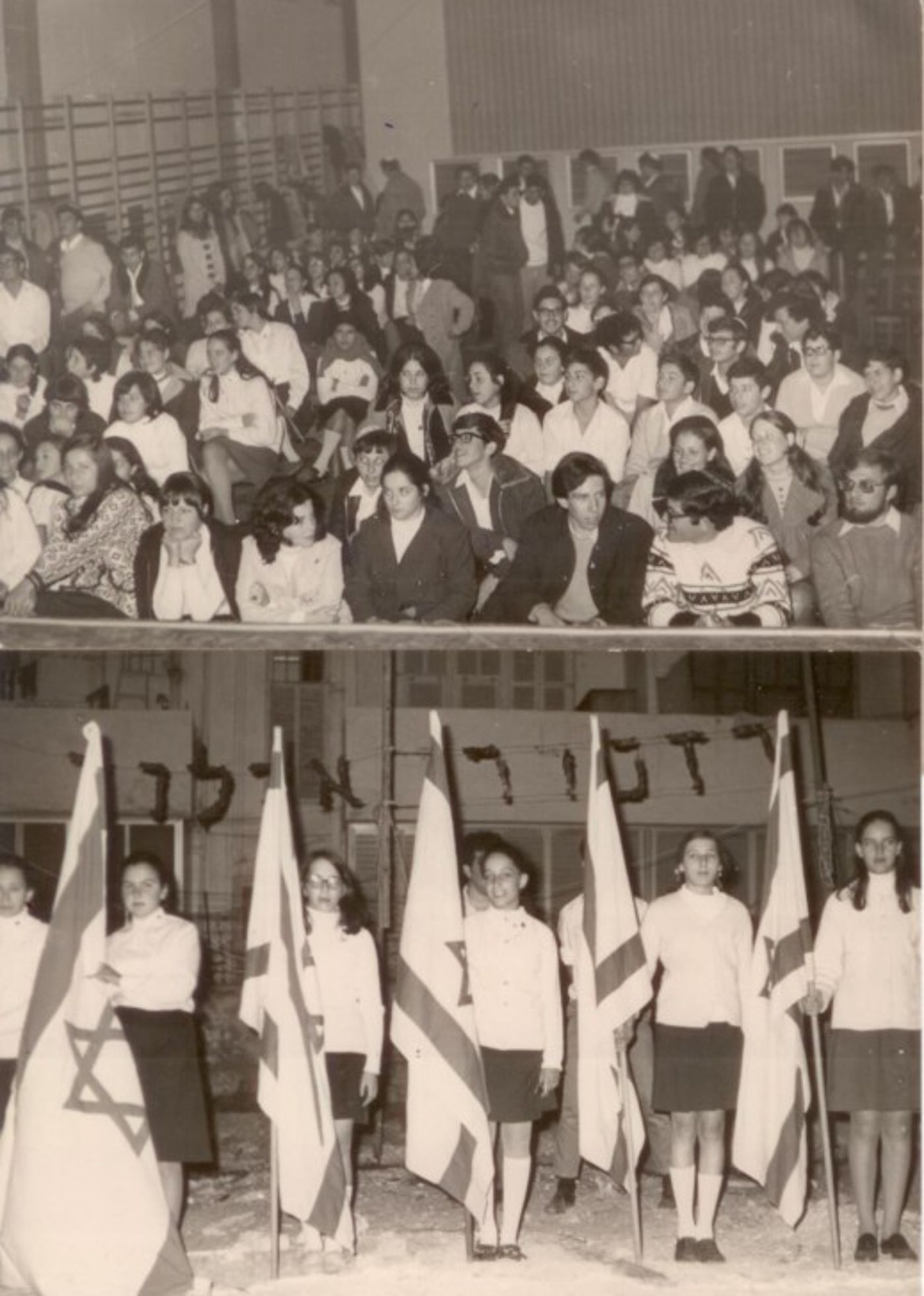 מרגנית (1)