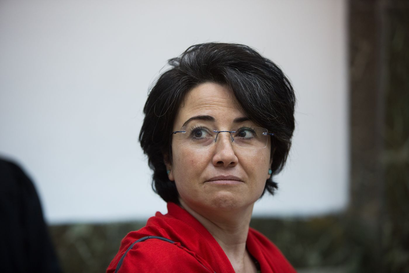 "בעד שתי מדינות, אך שאף אחת לא תהיה יהודית"