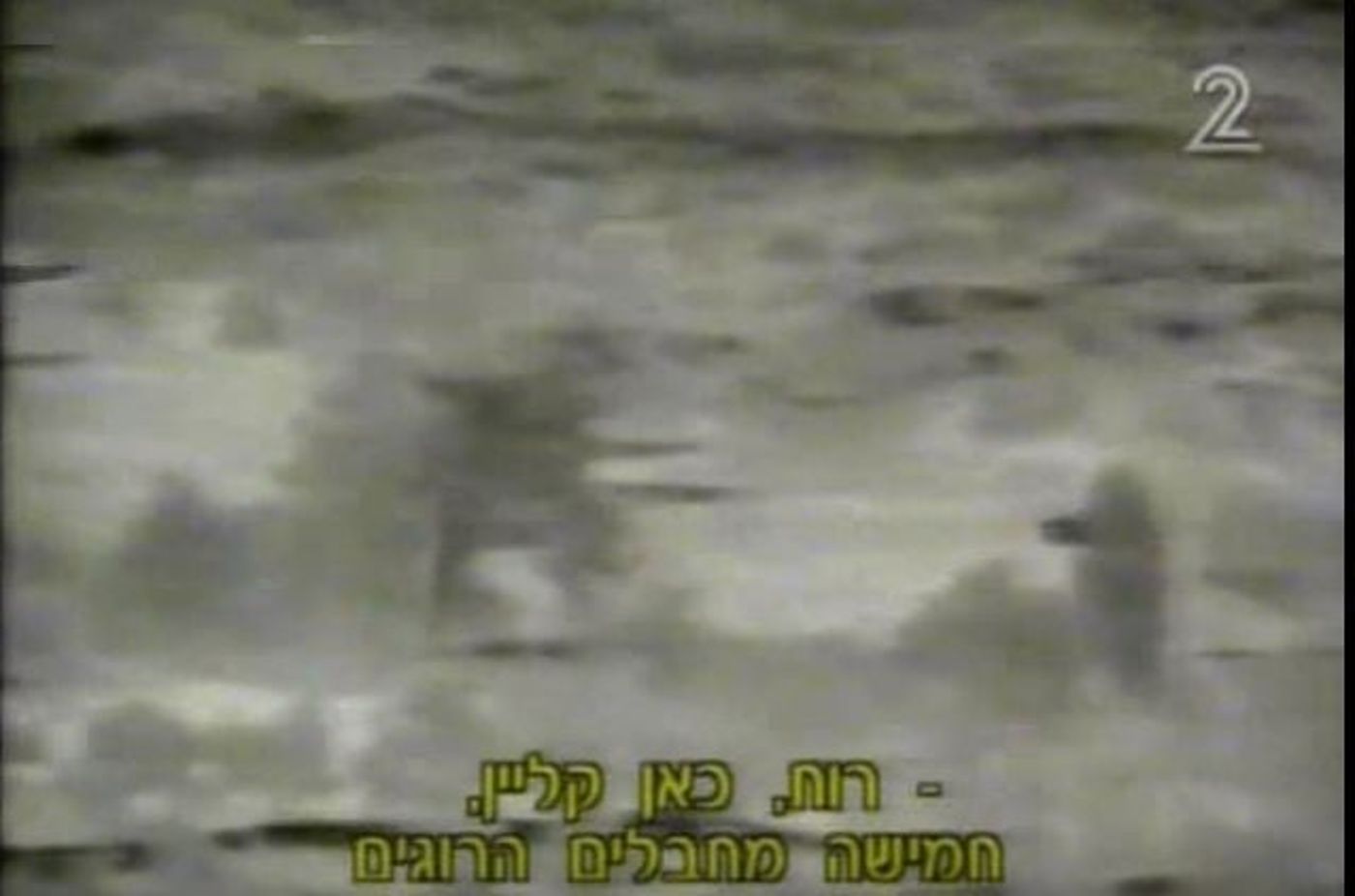 רועי קליין