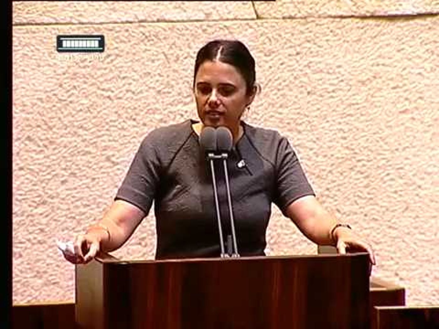 התרגיל של איילת שקד להשגת רוב במליאה. צפו