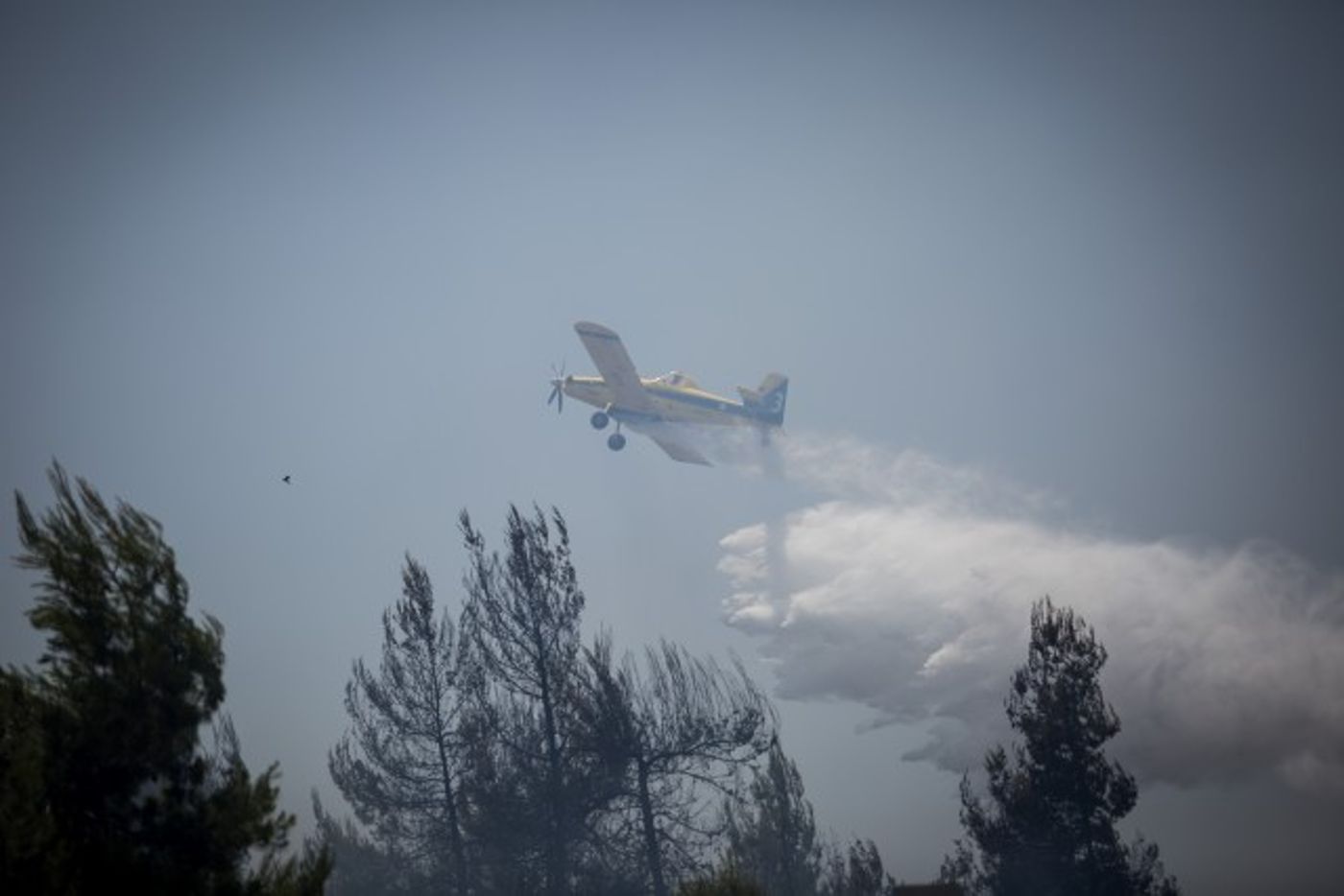 הכבאים הצליחו להשתלט על שריפת הענק – צפו