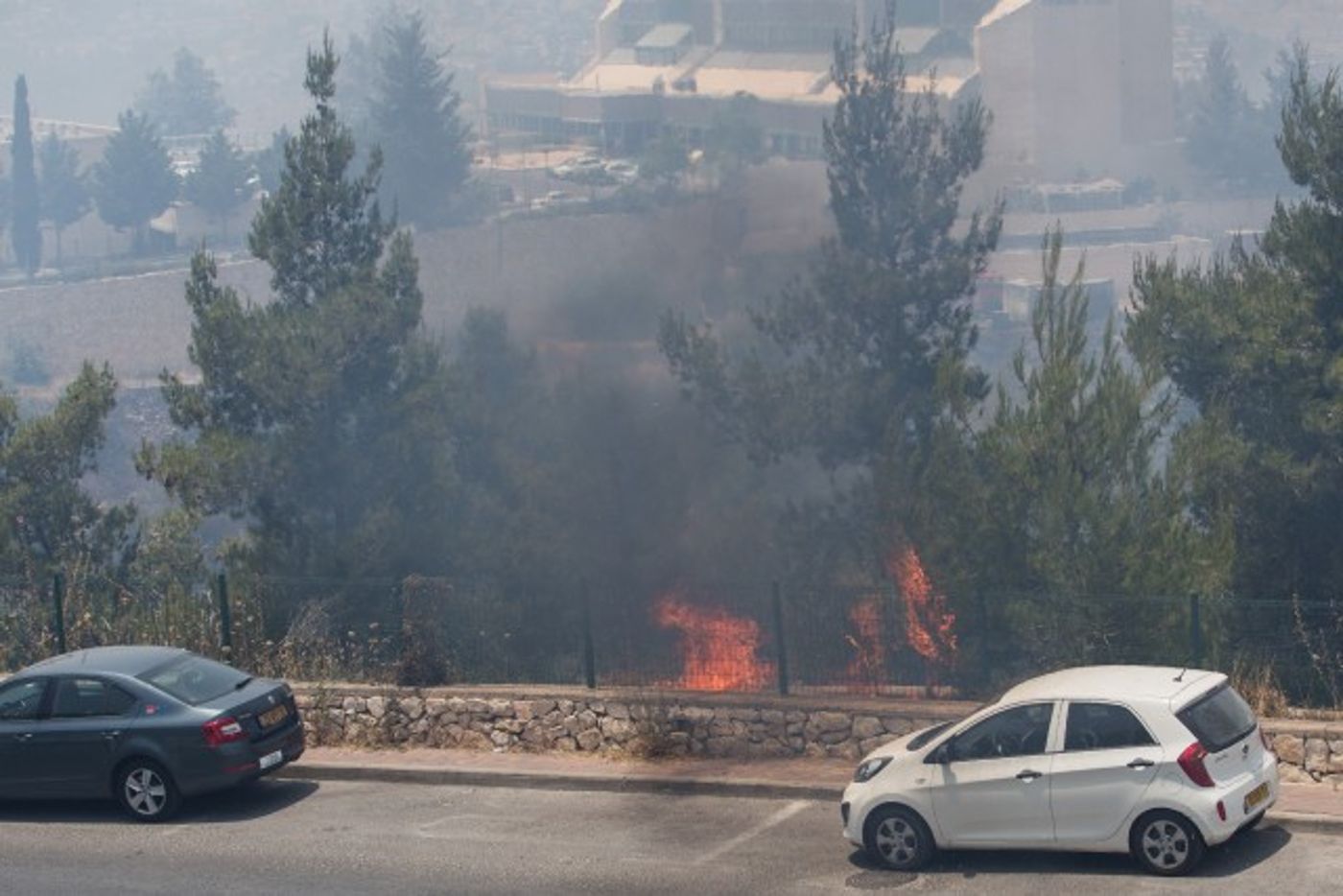 הכבאים הצליחו להשתלט על שריפת הענק – צפו