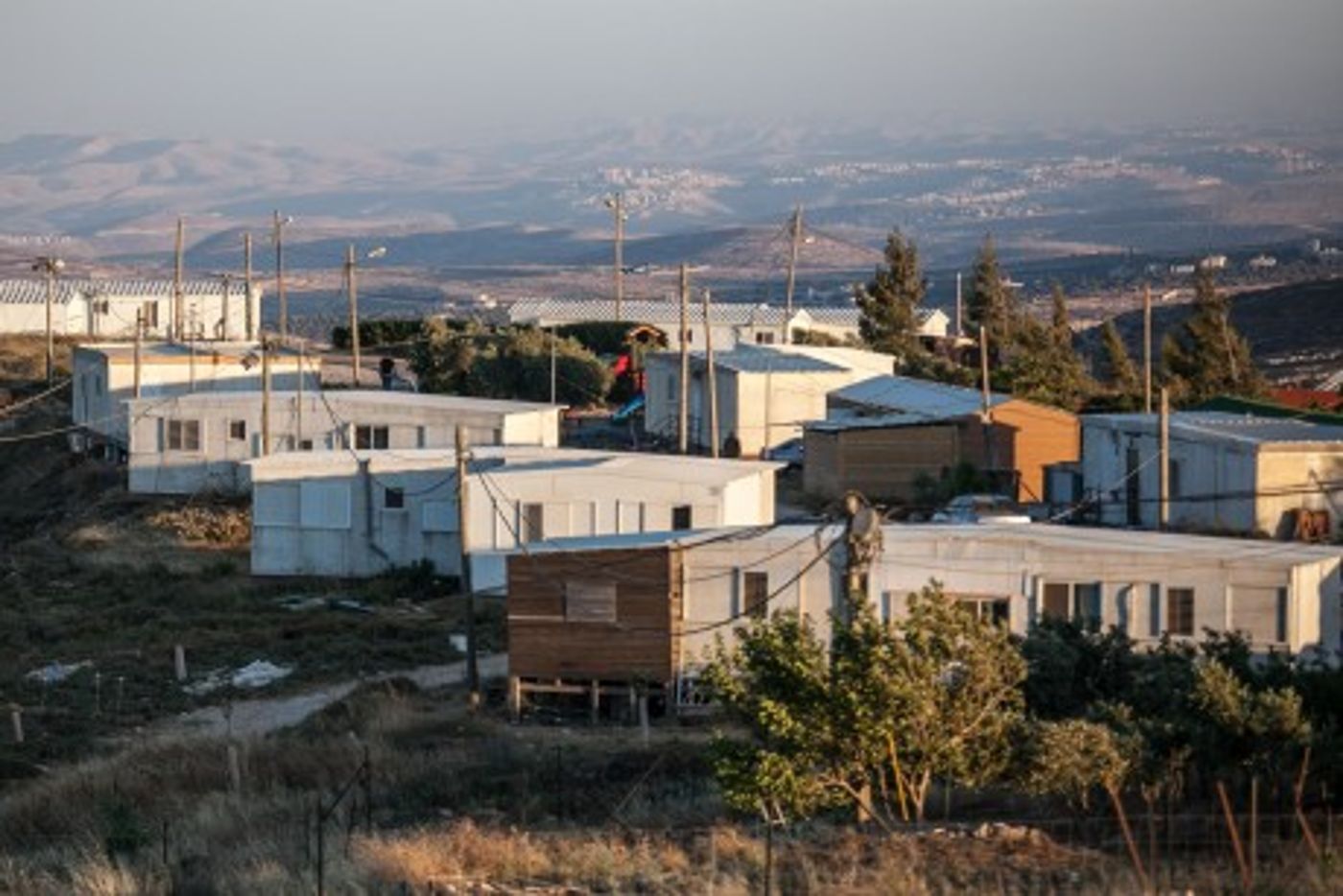 "שקד היא היחידה שיכולה למנוע זאת"