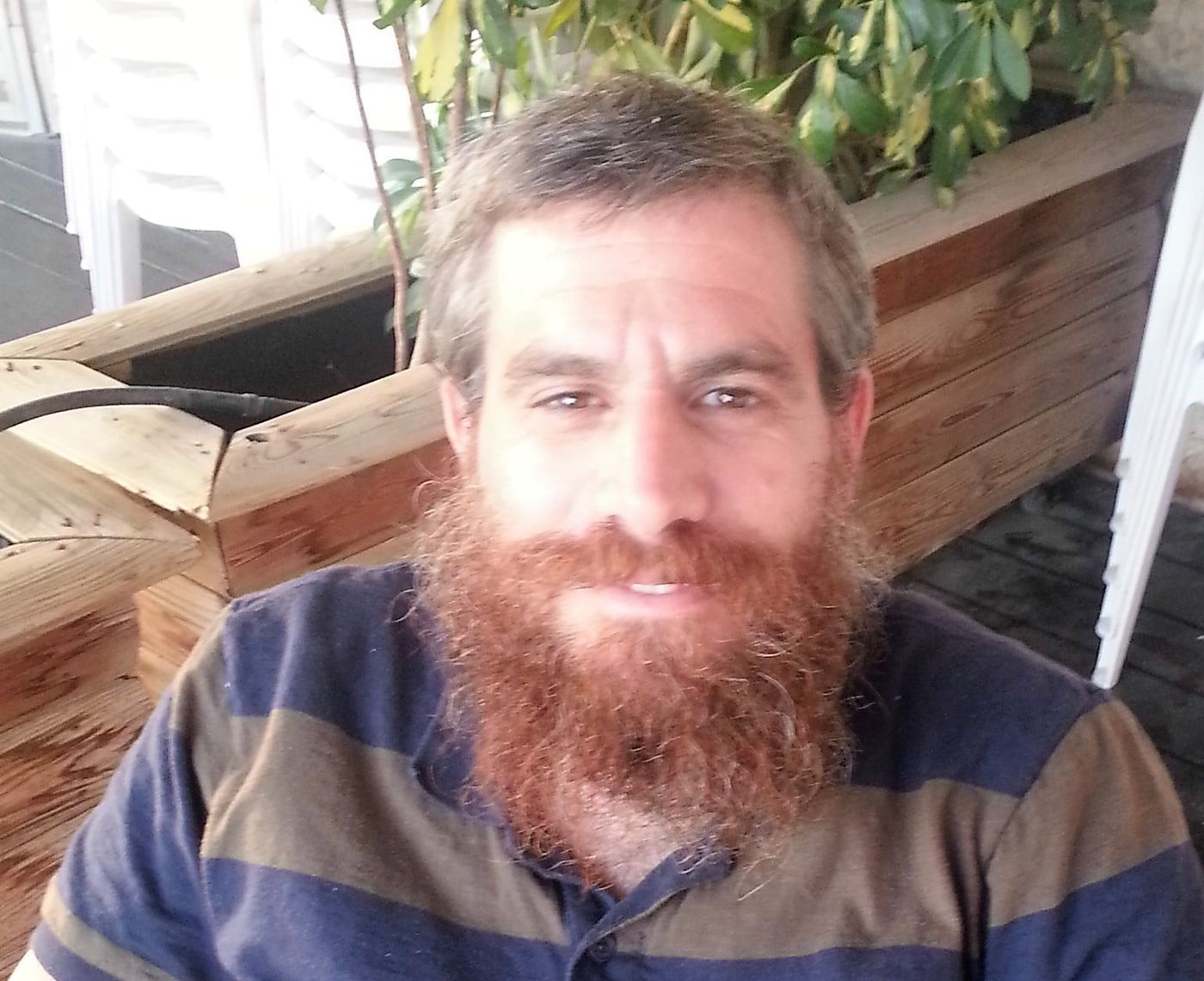 דווקא עכשיו: זה הזמן של התורה לצאת מהארון