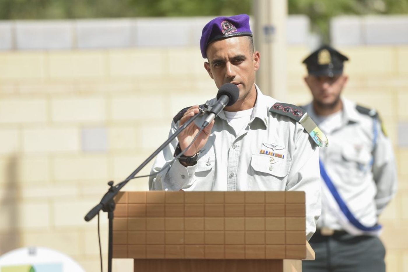 אל"מ דוד בר כליפא (דו"צ)