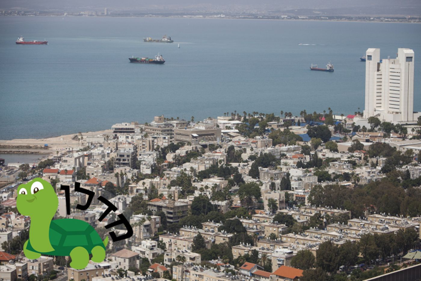 הכר את השכונה הסרוגה – נווה שאנן בחיפה