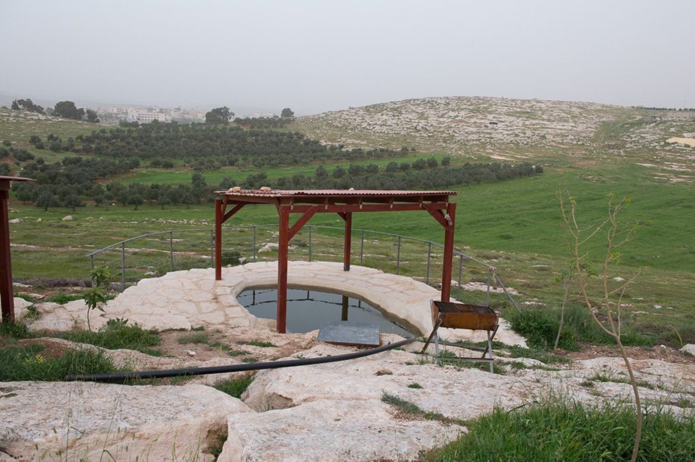 DSC_9395 (1)
