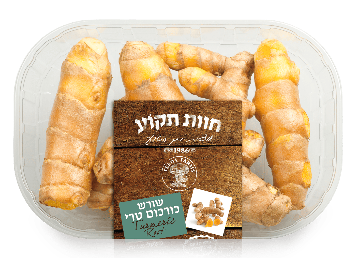 חדש: שורש כורכום טרי ובריא – בטעם עשיר שמשדרג כל תבשיל