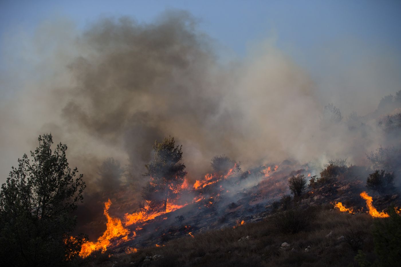 בשל גל השריפות: אזהרה חמורה לתושבי ישראל