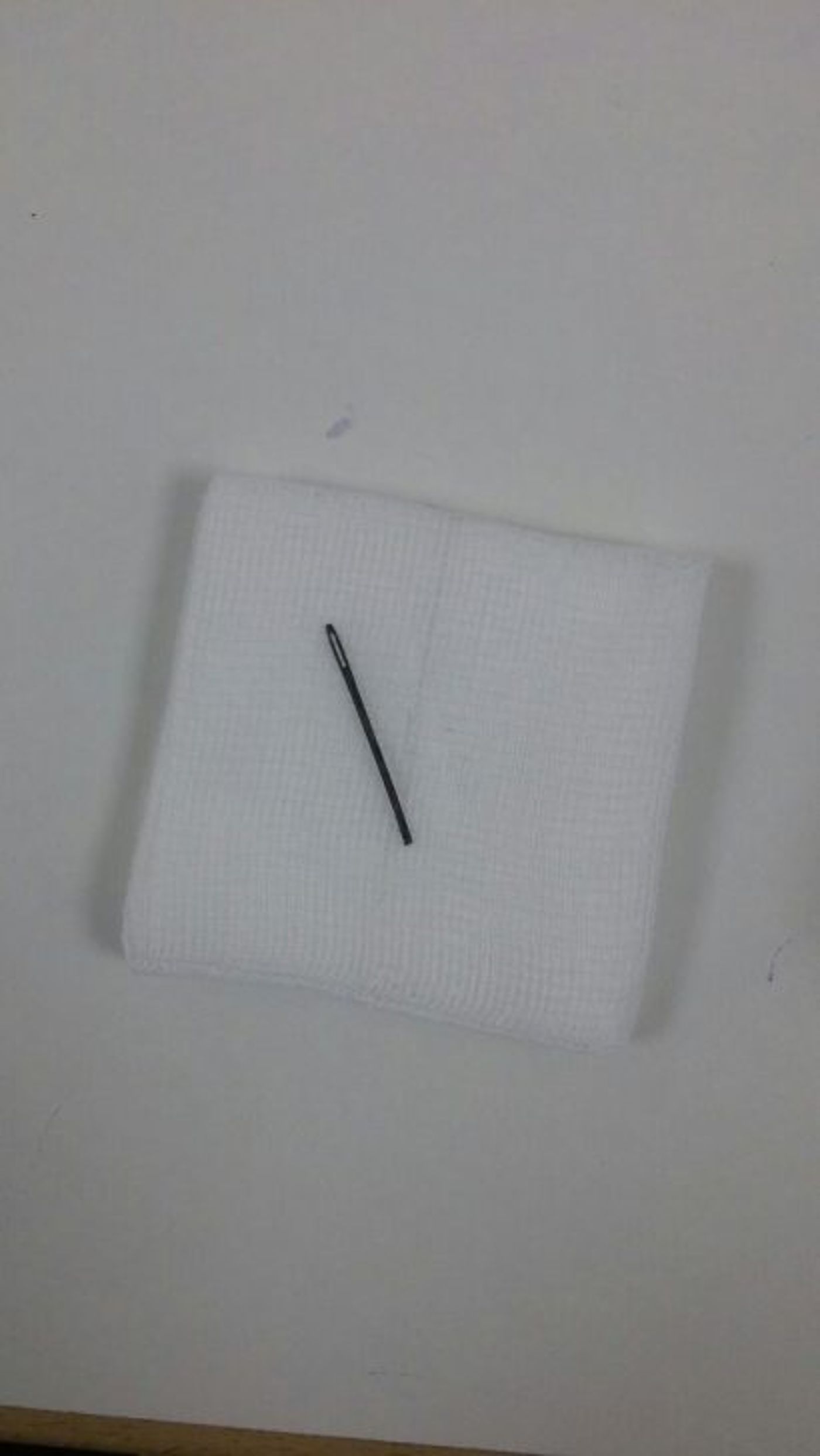 המחט שהוצאה צילום דוברות טרם