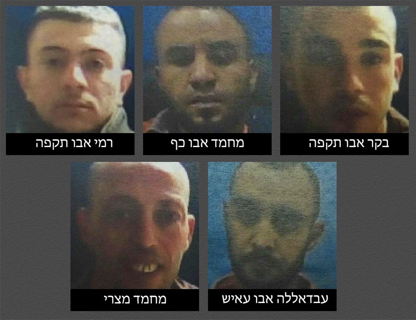 השב"כ חשף: בדואים תכננו לרצוח חיילים