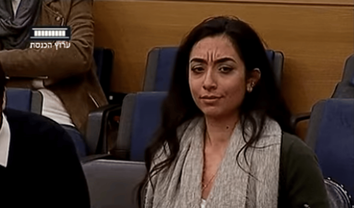 צפו: ח"כית קטעה ערביה: "את בישראל, דברי עברית"