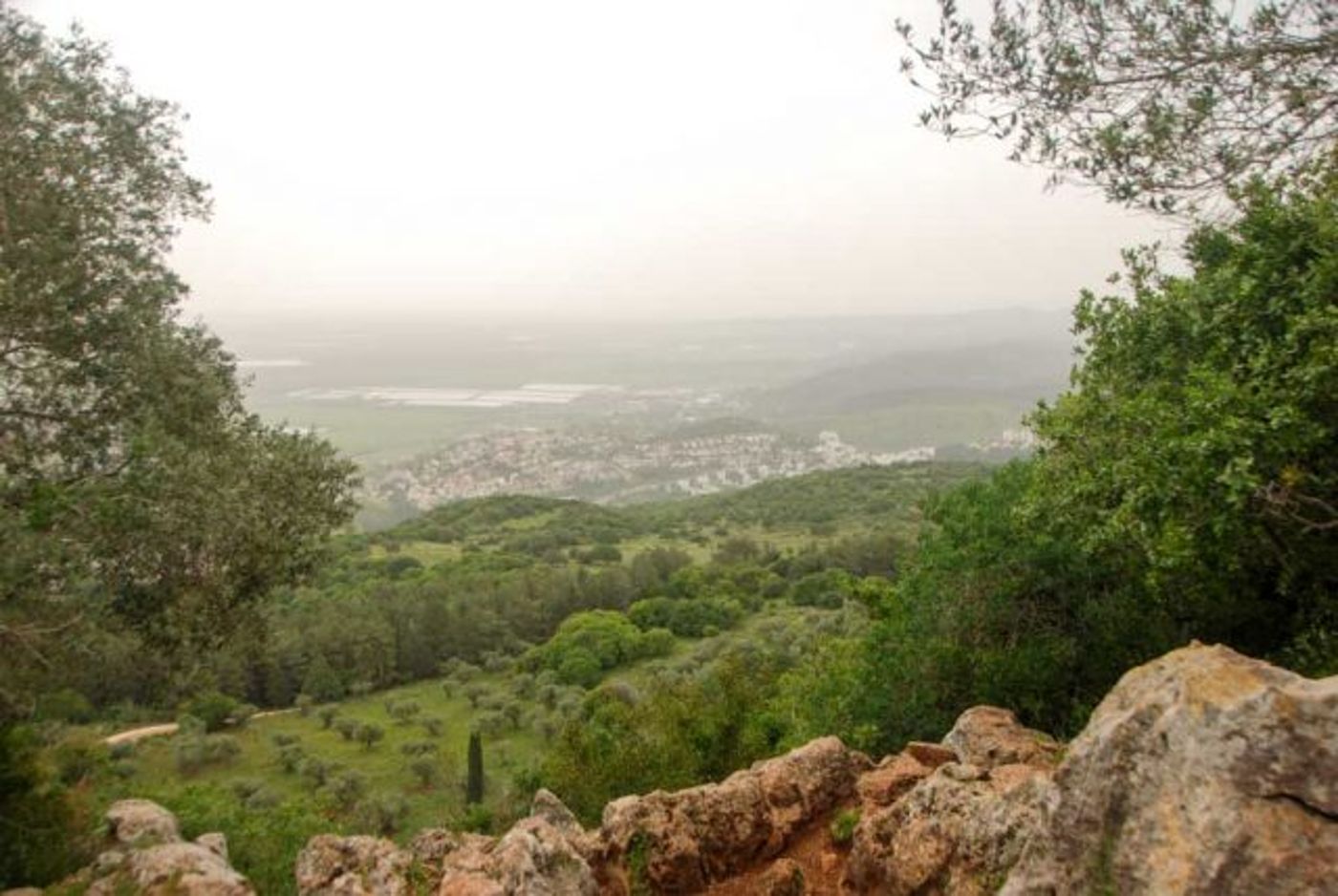 אחרי הזיקוקים ולפני המנגל: טיולים שווים ליום העצמאות