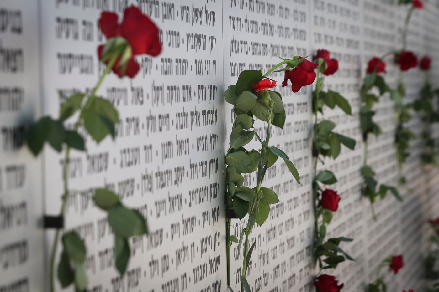 האם שייך לחלק פרחים בבתי הקברות ביום הזיכרון?