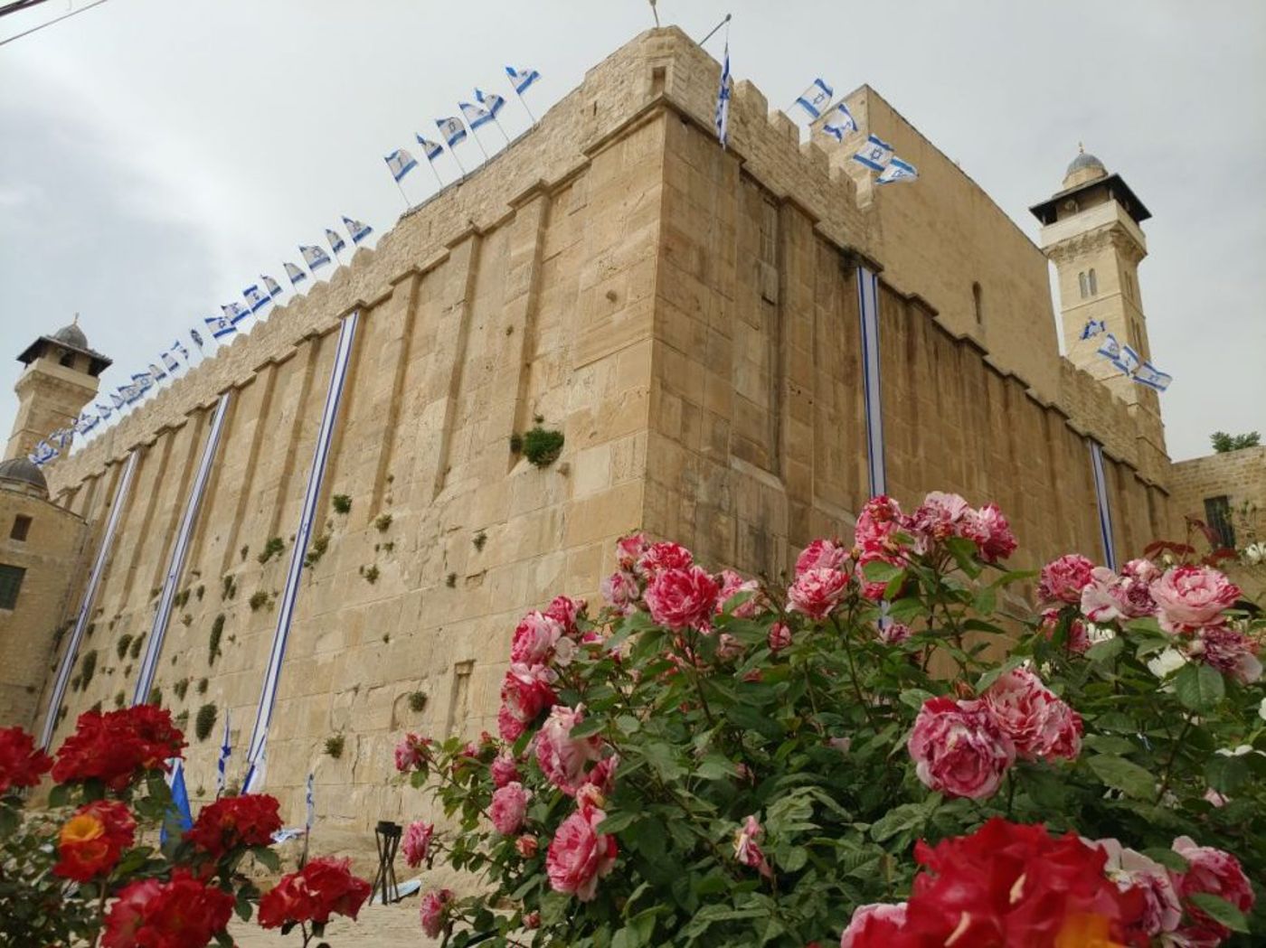 באדיבות מנהלת מערת המכפלה