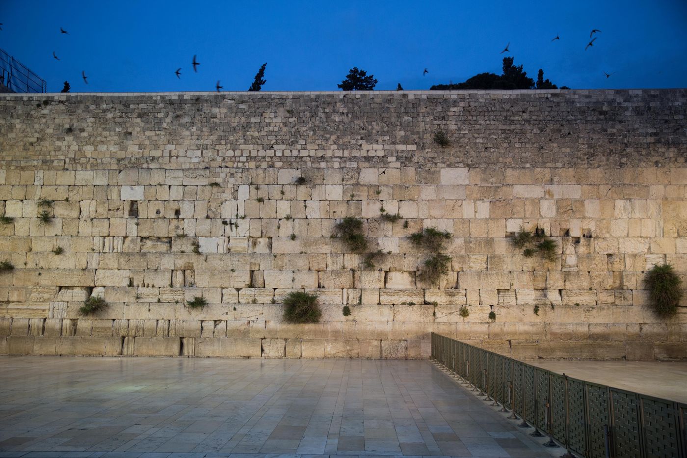 הכותל הדרומי? פני הדור כפני הכותל