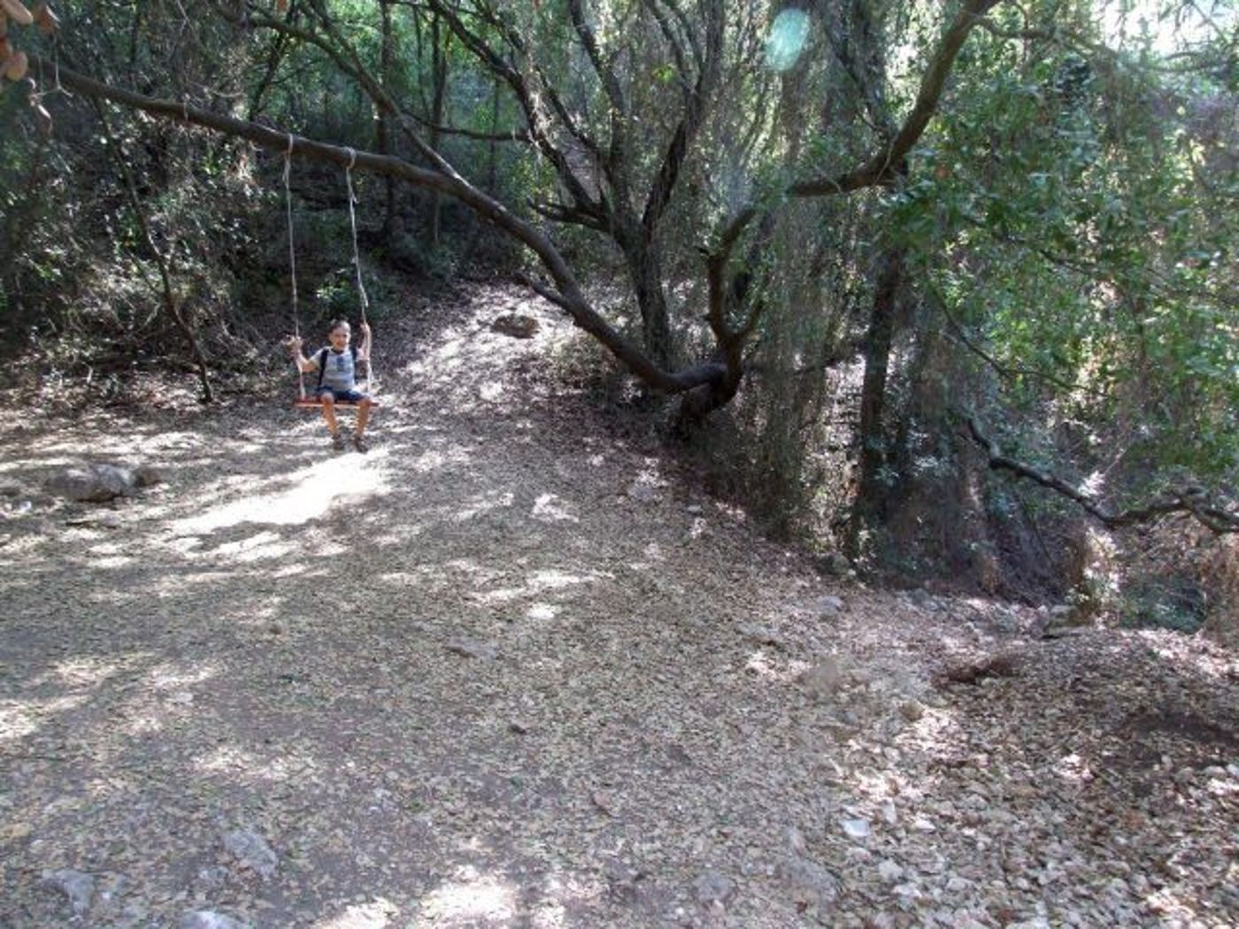 לא תאמינו מה אפשר למצוא מטר מהמלון