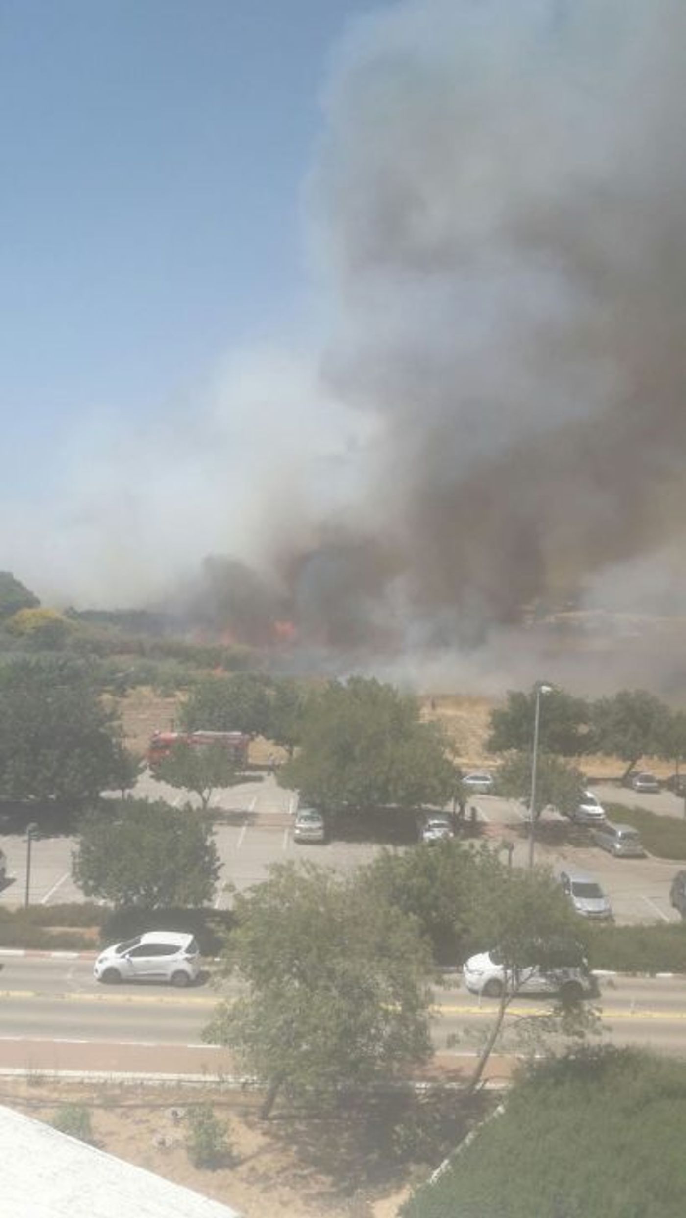 שריפת קוצים ענקית סמוך למטה משרד החקלאות