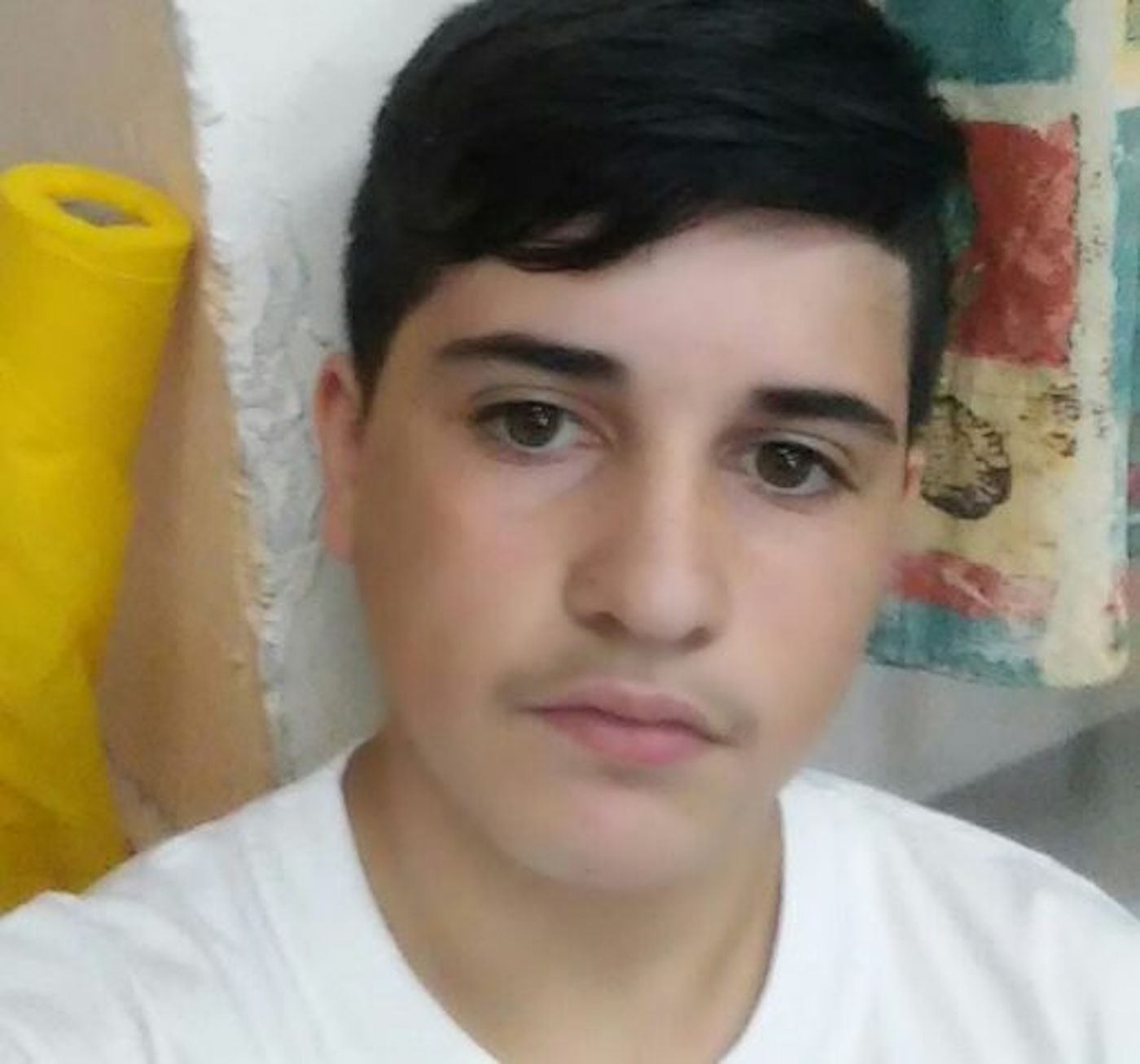 גיא שטיינפאייר